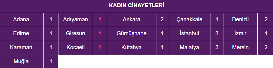 Amedtimes Kadın Cinayeti1