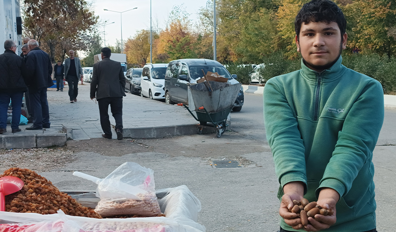 Siirt Meşe Palamudu