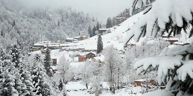 Ayder Yaylası