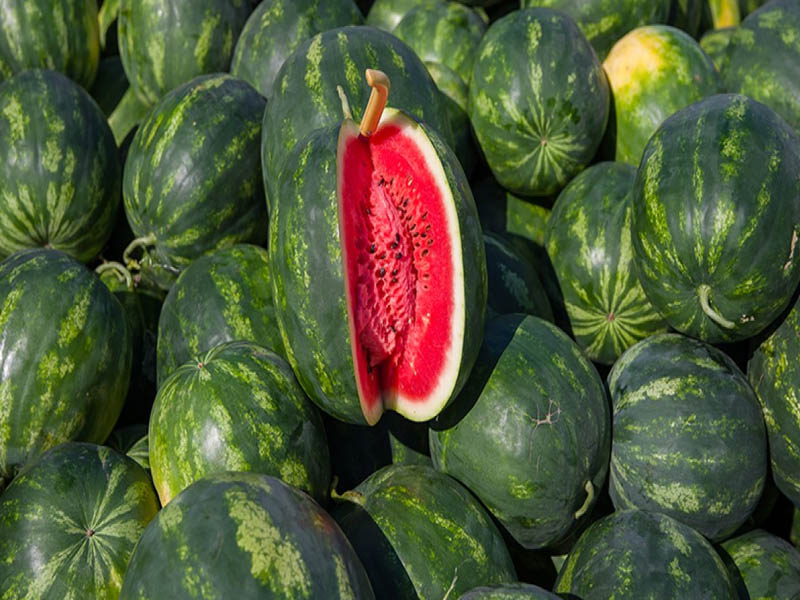 Türkiye’de Karpuz Dilimle Nerede Satılıyor Dilimi Ne Kadar2