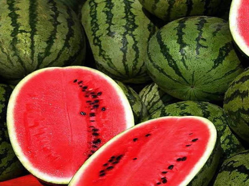 Türkiye’de Karpuz Dilimle Nerede Satılıyor Dilimi Ne Kadar3