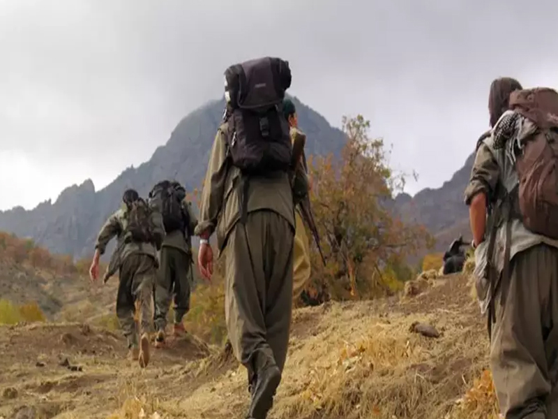 Pkk Ne Zaman Kuruldu, Kendini Neden Feshetti1
