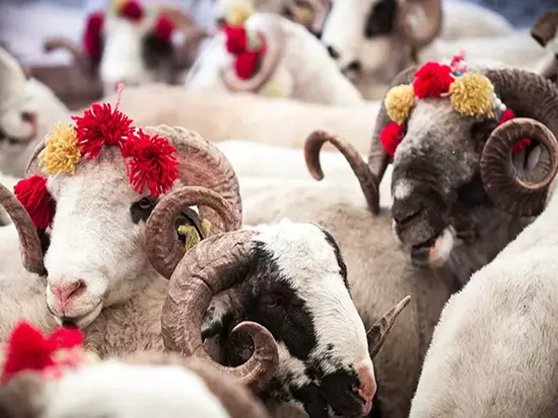 Kurban Bayramında Diyarbakır’da Hava Nasıl Olacak 1