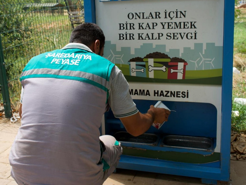 Diyarbakır’da Sokak Hayvanlarına Yaz Boyunca Su Desteği (1)