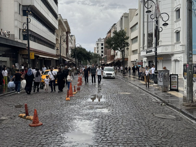 Diyarbakır’da Yaz Ortasında Fırtına; Ağaçlar Devrildi3