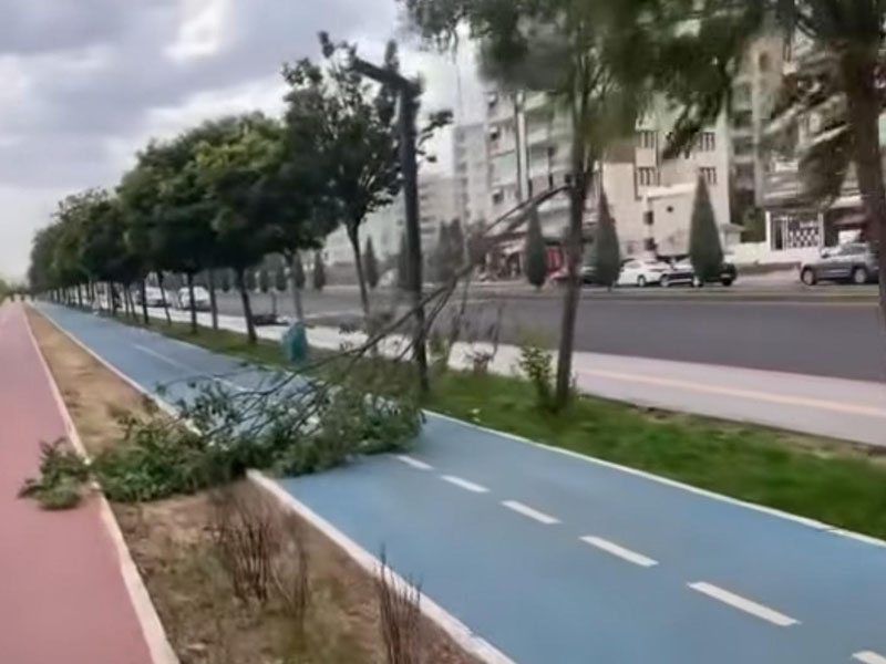 Diyarbakır’da Yaz Ortasında Fırtına; Ağaçlar Devrildi4