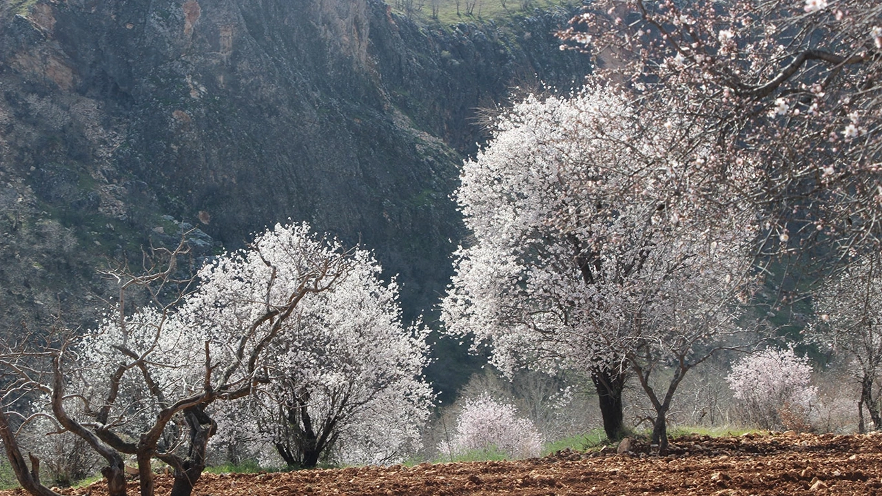Nevruz Nedir Neden Kutlanır 2