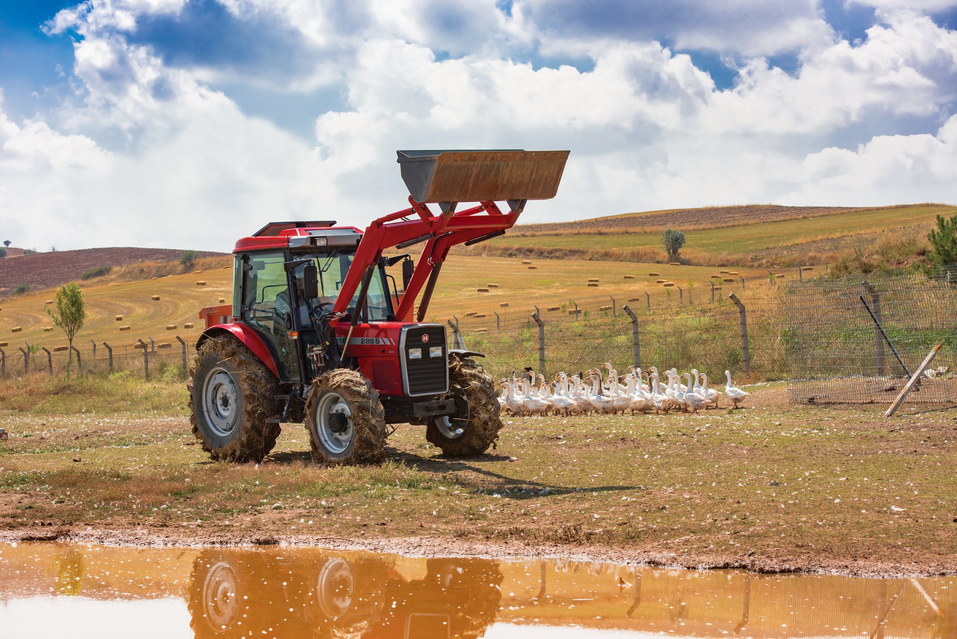 Hattat Traktör Fiyatları (8)