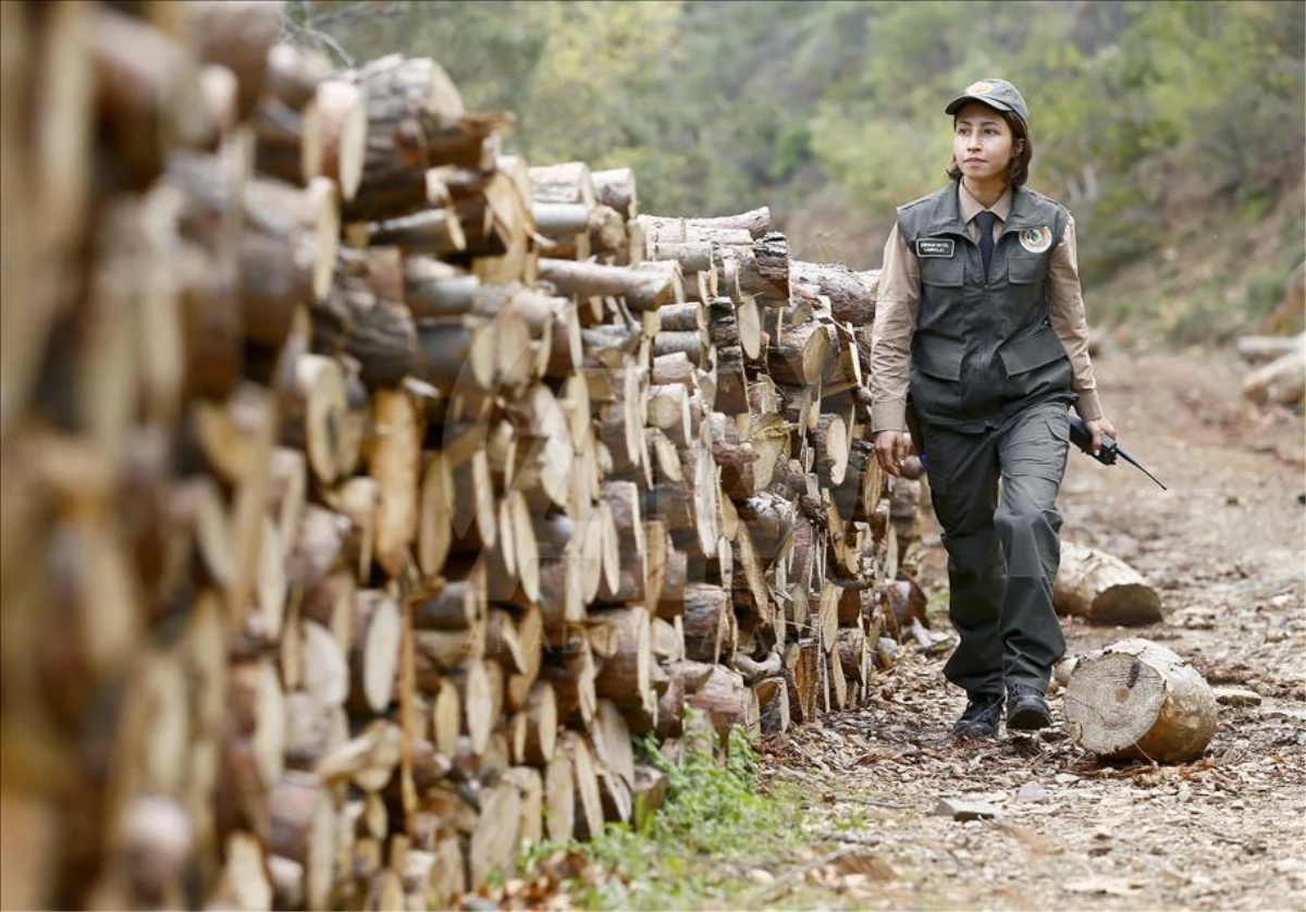 Orman Muhafaza Memuru Maaşı (7)