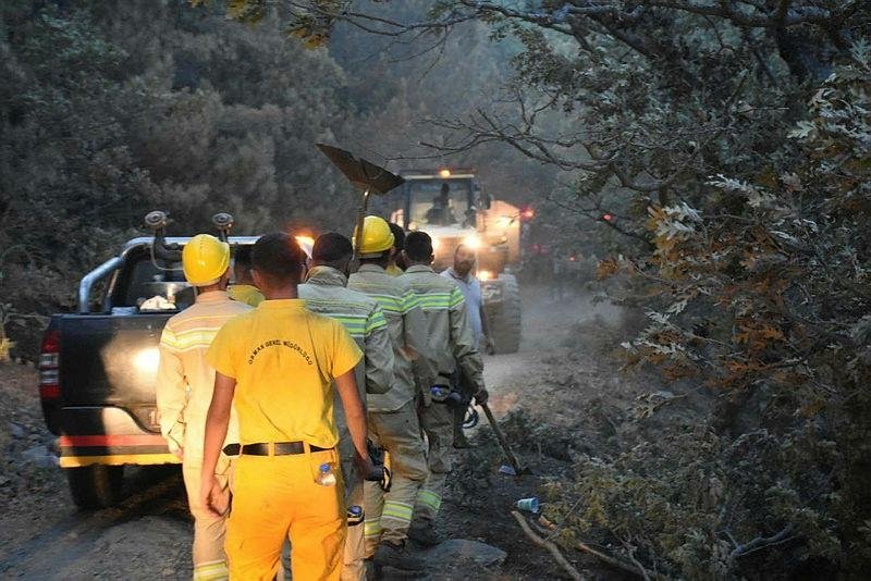 Orman Muhafaza Memuru Maaşı (8)