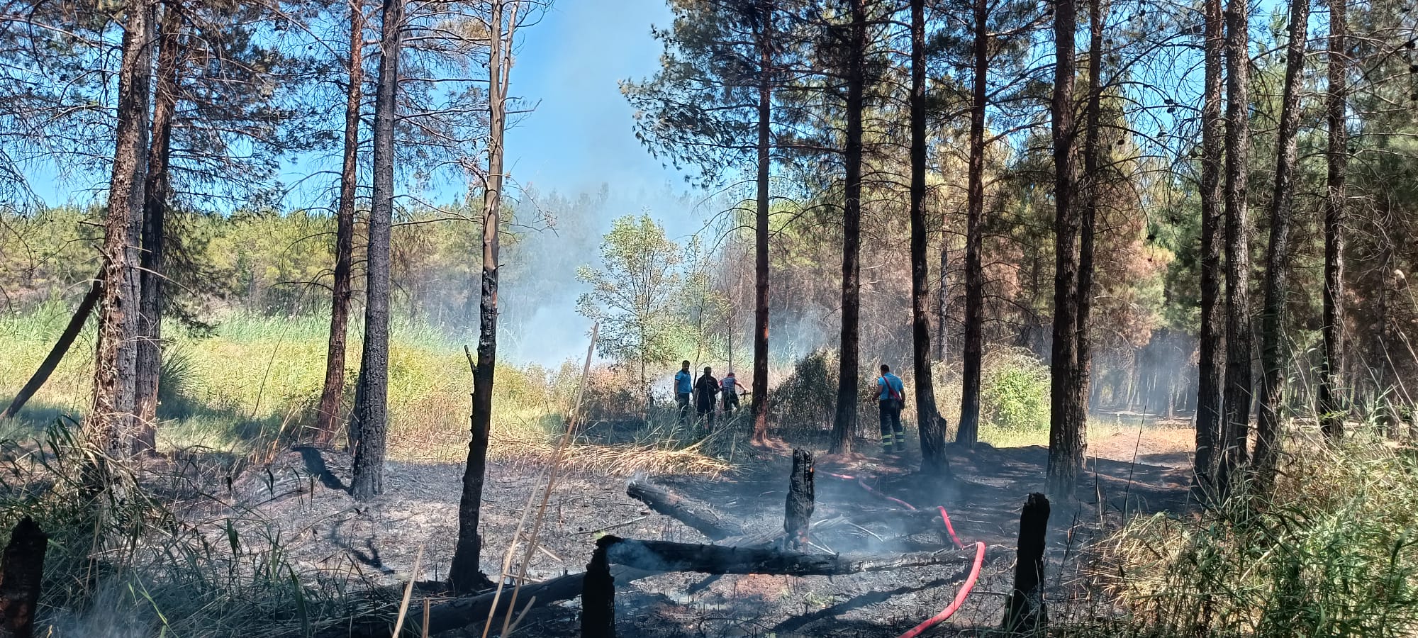 Amedtimesdicleyangın (1)