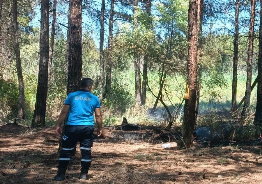 Amedtimesdicleyangın (3)