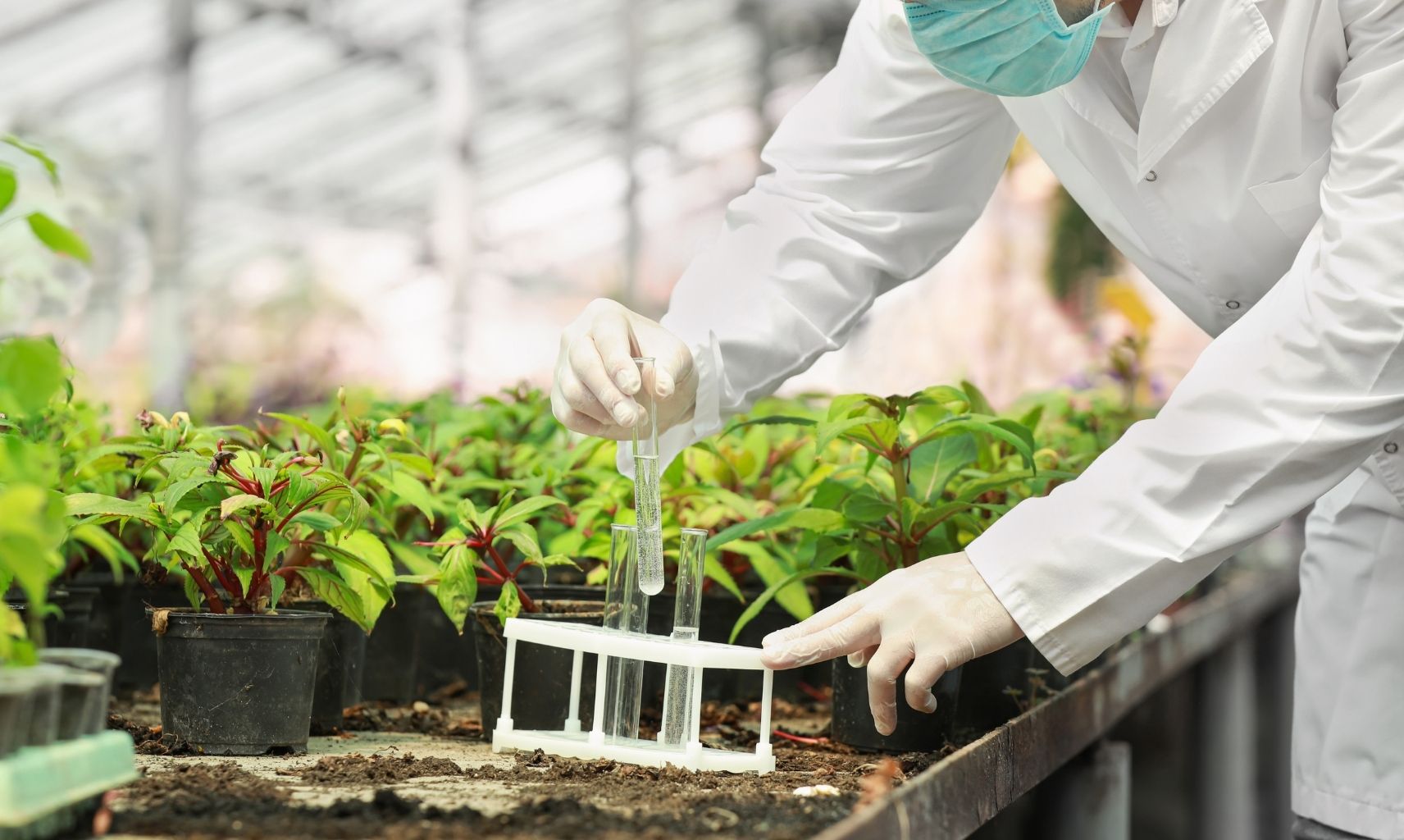 Ziraat Mühendisi Maaşı (3)