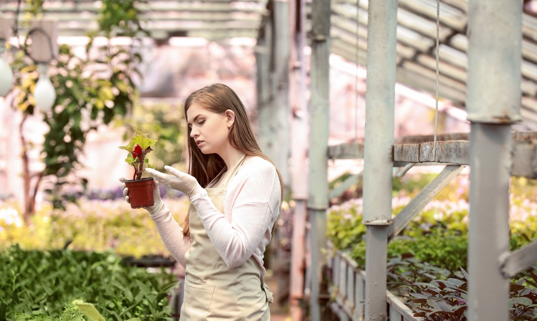 Ziraat Mühendisi Maaşı (6)