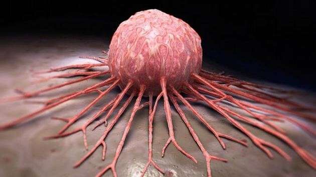 4 Şubat Dünya Kanser Günü Farkındalık Ve Erken Tanı Önemli-1