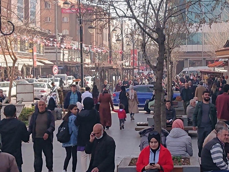Diyarbakır'ın Kürt Nufus Oranı, Irksal Dağılımı Nasıl3