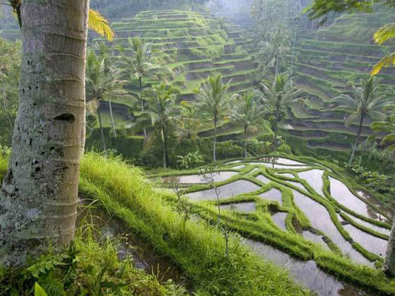 Hangi Uygarlıklara Ev Sahipliği Yaptı4