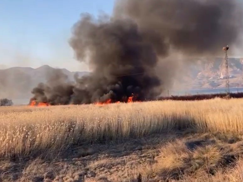 Malatya’da Baraj Kenarında Yangın Çıktı