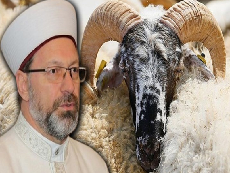 2025 Kurban Kesim Bedeli Ne Kadar Yurtiçi Ve Yurtdışı Fiyatlar Belli Oldu2