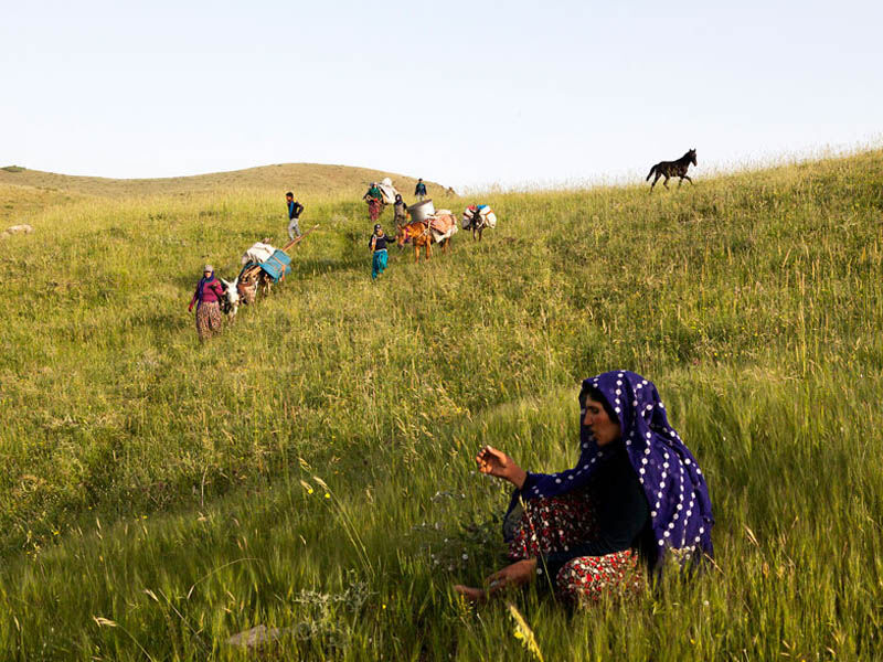 Zagros Dağlarında Kürtlerin Göçebe Hayatı Koçer Kimlere Denir3