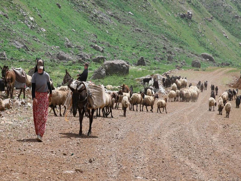 Zagros Dağlarında Kürtlerin Göçebe Hayatı Koçer Kimlere Denir4
