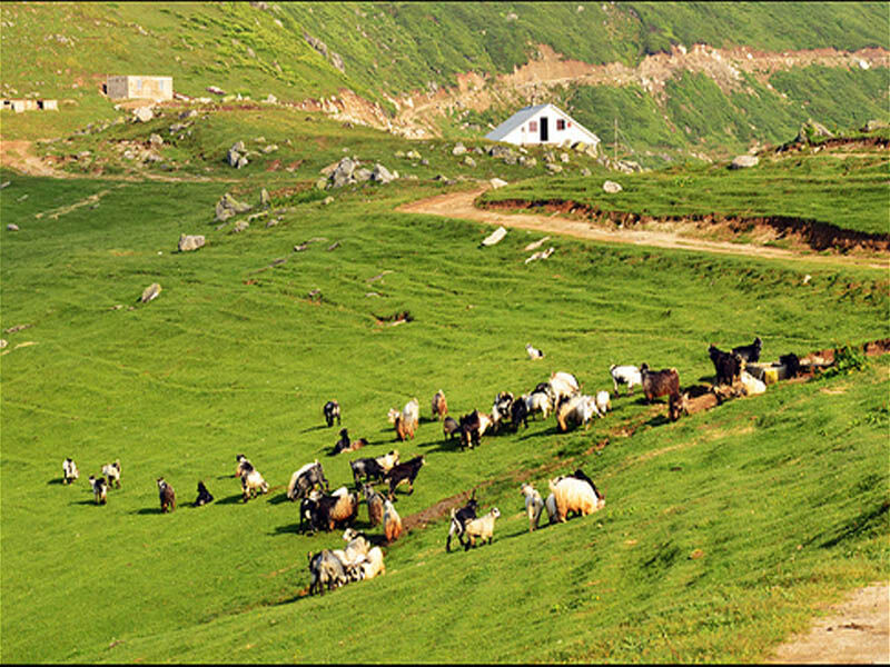 Zagros Dağlarında Kürtlerin Göçebe Hayatı Koçer Kimlere Denir5