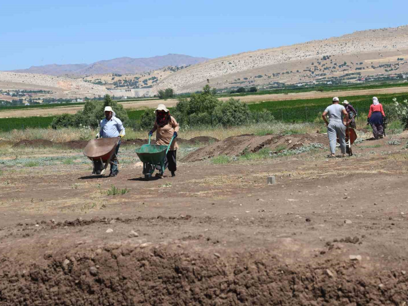 Diyarbakır’da 12 Bin Yıllık Tarih Kadınların Elleriyle Kazılıyor (1)