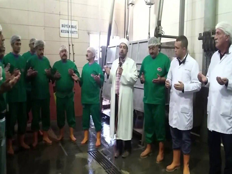 Marketten Alınan Kurbanlık Kurban Olur Mu4