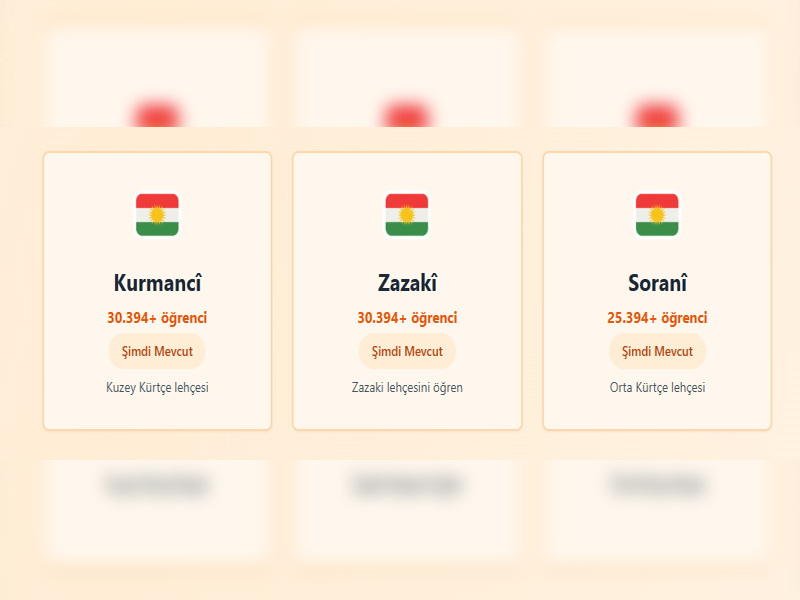 19 Yaşındaki Gençten Ilk Kürtçe Öğrenme Uygulaması4
