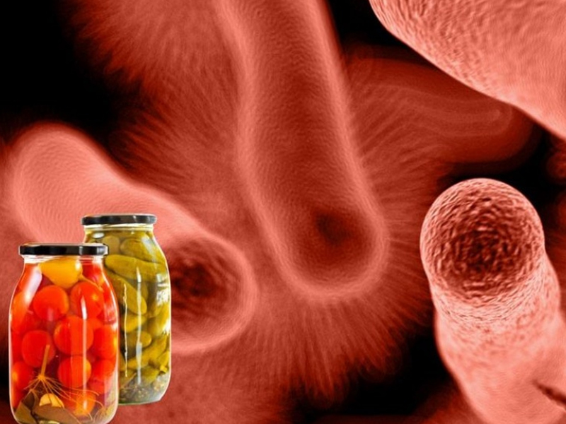 Evde Konserve Hazırlarken Nelere Dikkat Edilmeli6