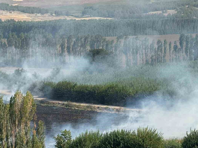 Diyarbakır’ın Unesco Mirasında Anız Yangını2