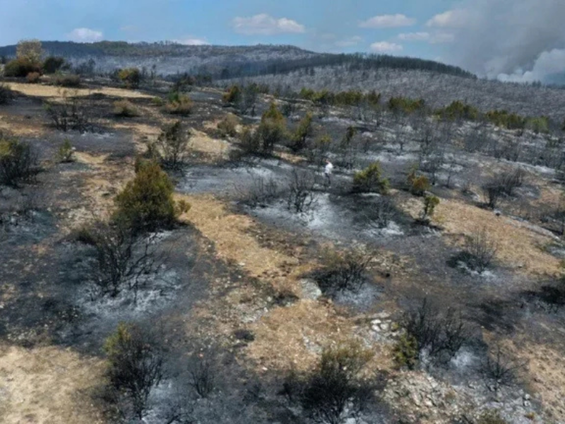 Karabük Ve Kastamonu’da Orman Yangınları Ankara’ya Kadar Ulaştı (2)