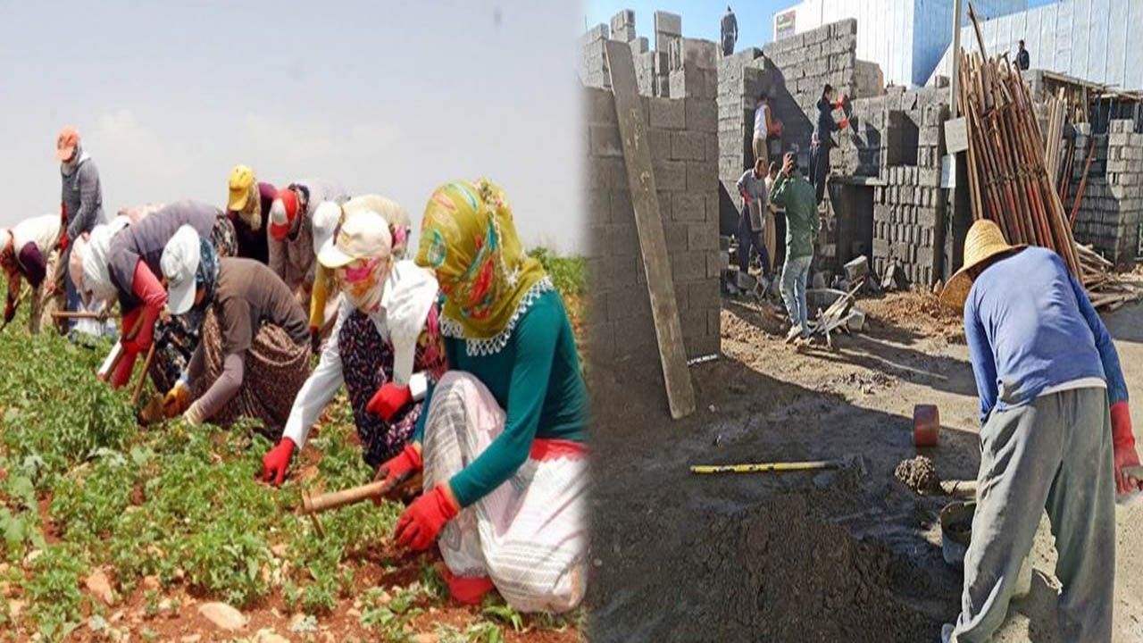 Kürt halkı en fazla hangi meslekte istihdam sağlıyor?