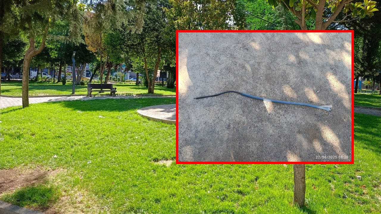 Diyarbakır’daki Kadın Parkında tehlike: “Hemen önlem alınmalı”
