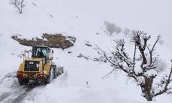 Kar nedeniyle 80 ulaşım yolu kapandı