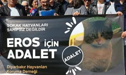 Diyarbakır hayvanseverler adalet istiyor