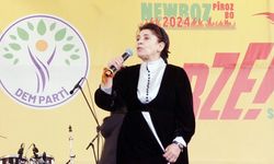 Zana: Barış görüşmelerine hazır mısınız?