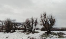 Kar yağışı Diyarbakır- Bingöl yolunu kapadı