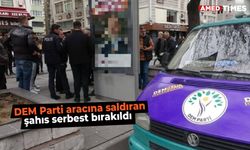 DEM Parti aracına saldıran şahıs serbest bırakıldı