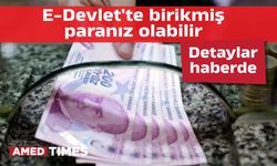 E-Devlet'te birikmiş paranız olabilir