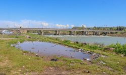 Piknik atıkları Dicle Nehri'ni tehdit ediyor