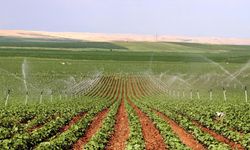Diyarbakır'da çiftçiğe destek!