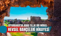 Diyarbakır Hevsel Bahçeleri Hikayesi: 8000 Yıldır Varlığını Koruyan Cennet