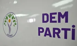 DEM Parti’den yeni anayasa açıklaması