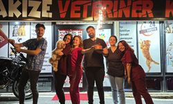 Diyarbakır'da kedi ve köpek iç dış parazit kampanyası yaptı