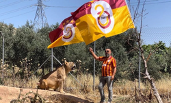 Diyarbakırlı "Aslan Terbiyecisi" Galatasaray'ın şampiyonluğunu aslanlarıyla kutladı