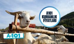 A101 Kurbanlık Fiyatları: Büyükbaş, Küçükbaş Kurban Kesimi Ne Kadar?