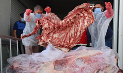 Sağlığa zararlı etler güvenlik için imha edildi