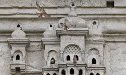 Osmanlı'nın kuş evleri bugün hala kuş türlerine ev sahipliği yapıyor