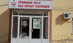 Diyarbakır’da sokak köpeği saldırısı: Bir kadın yaralandı